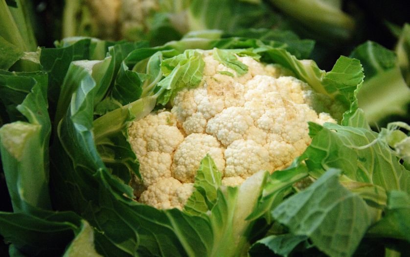 CHOU FLEUR - environ 1 kg - 3,40 € -